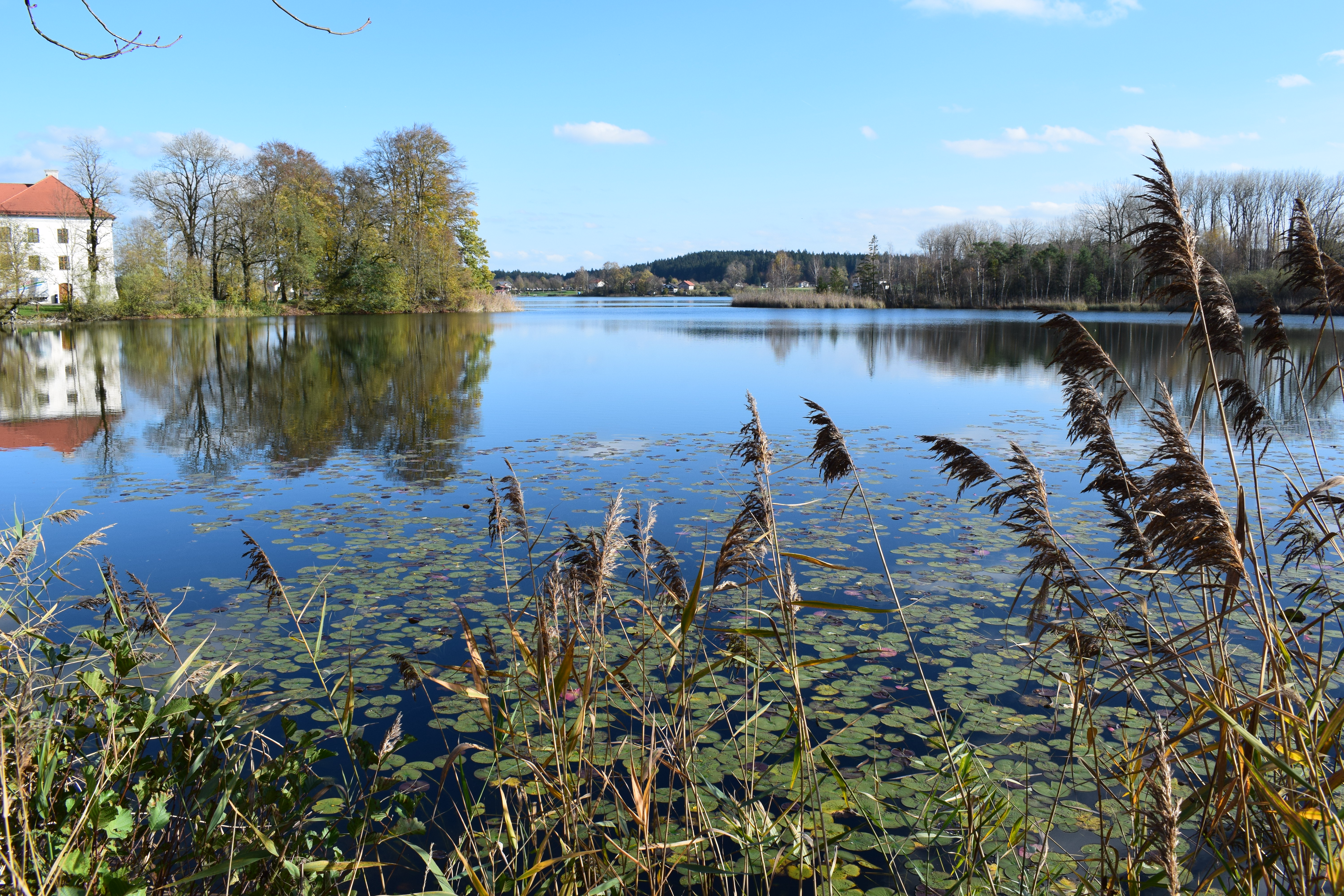 Kloster Seeon, Klostersee
