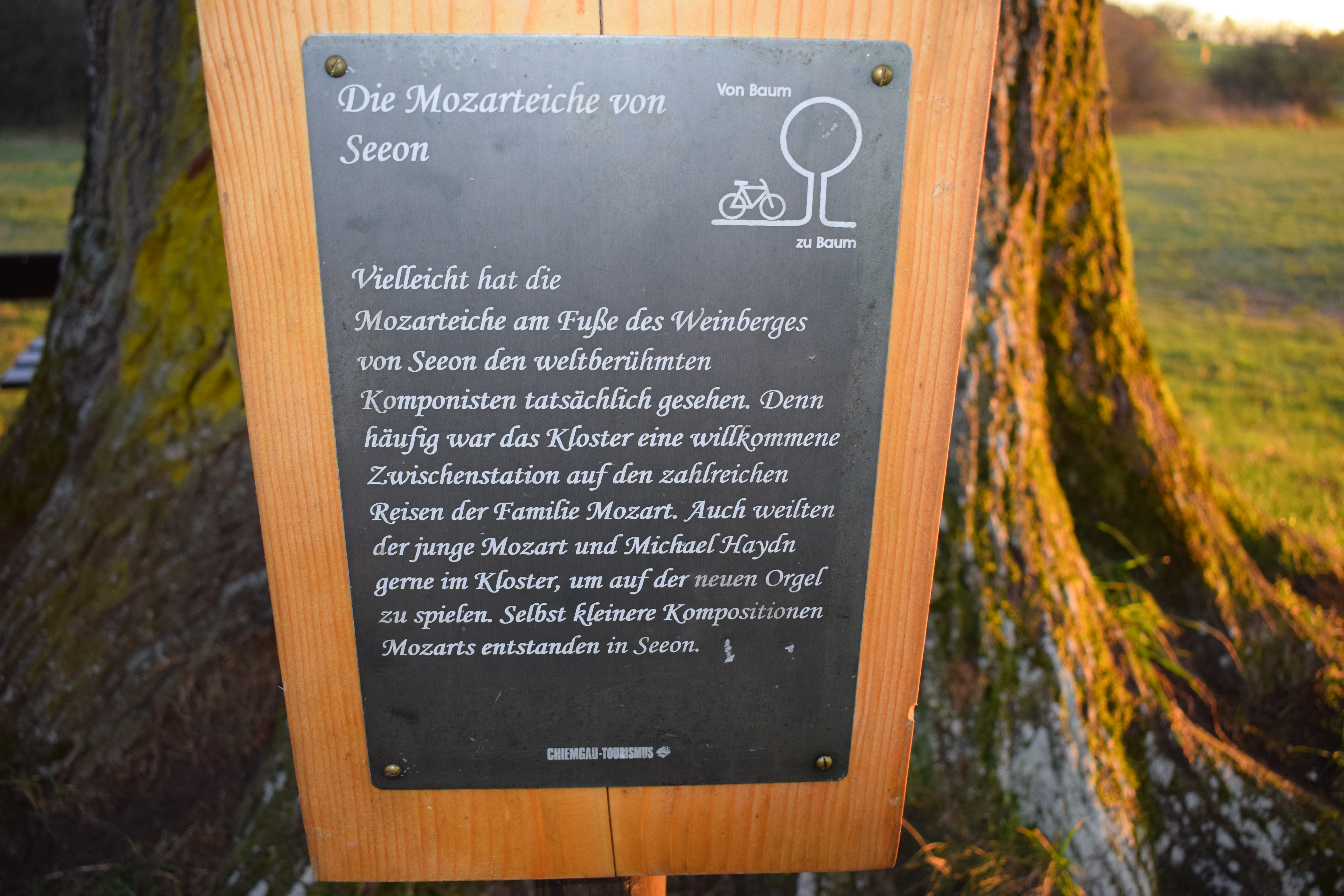 Kloster Seeon, Mozarteiche