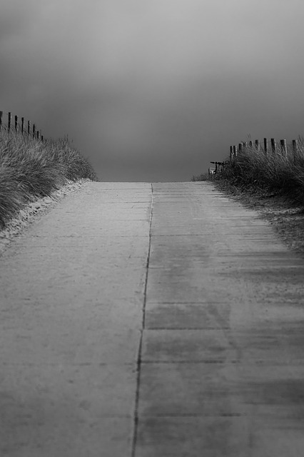 Bild von Foto-Rabe auf Pixabay