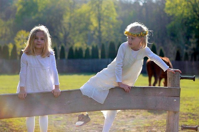 Bild von Moni Ly. auf Pixabay