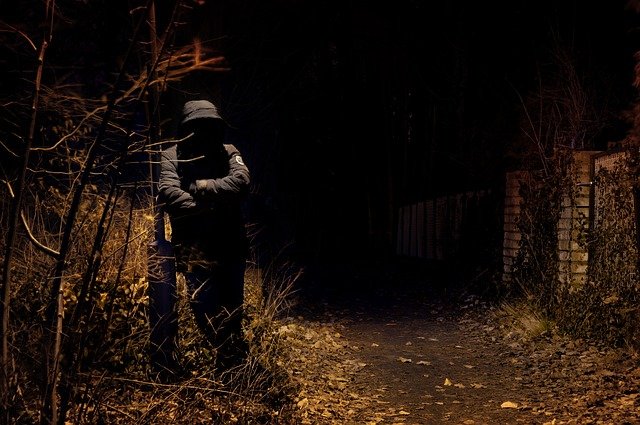 Bild von Patrick Grüterich auf Pixabay