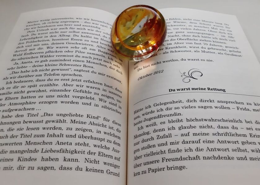 "In der sibirischen Kälte" - Autobiografisches von Rosa Ananitschev