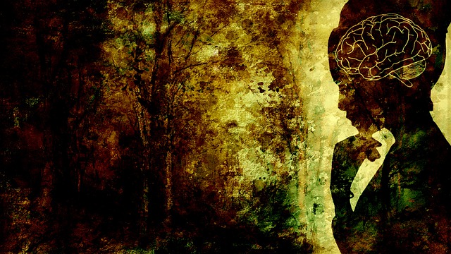 Bild von chenspec auf Pixabay