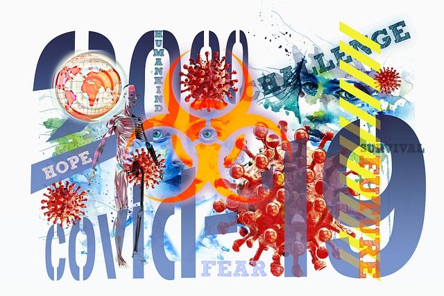 Bild von Gerd Altmann auf Pixabay