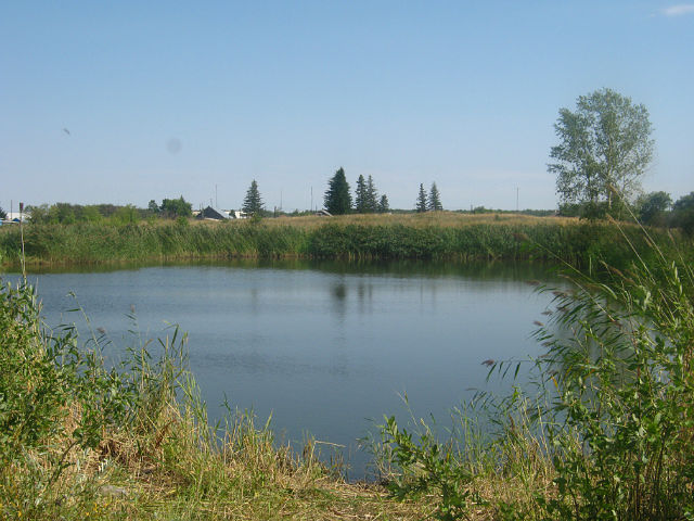 Der Baggersee (Dobroje Pole / Schönfeld)
