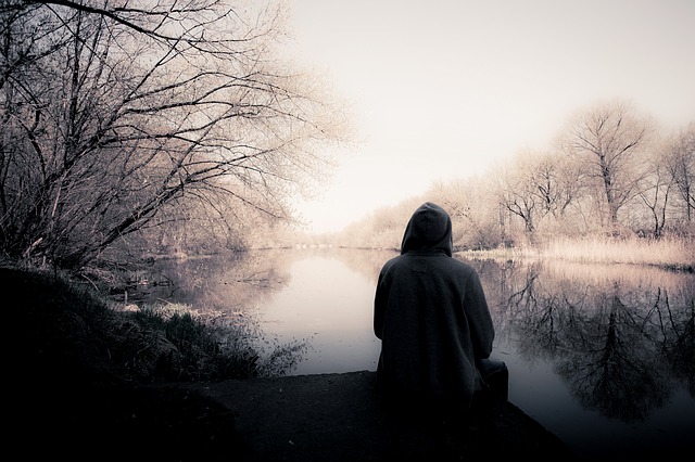 Bild von jwvein auf Pixabay