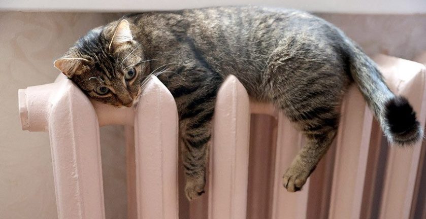 Foto: Alexandr Hitrow